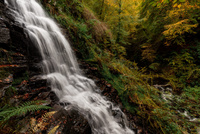 Birks of Aberfeldy, Perthshire