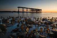 Carlingnose Point, North Queensferry by bulloch.photography