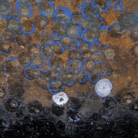 Boats by bulloch.photography