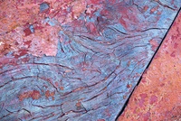 Boats by bulloch.photography