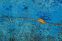 Boats by bulloch.photography