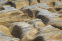 Spittal Beach by bulloch.photography