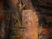 Boats by bulloch.photography