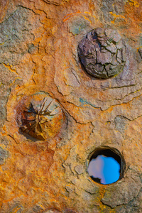 Boats by bulloch.photography