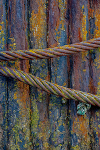 Boats by bulloch.photography