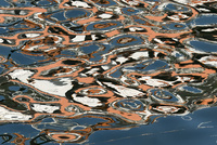 Lofoten Reflections by bulloch.photography