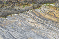 Northumberland Rocks by bulloch.photography