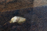 Frozen by bulloch.photography