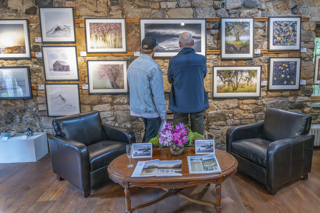 November 2024 newsletter image